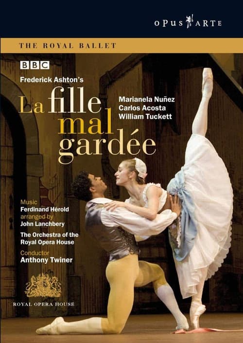 La Fille mal gardée (2005) poster