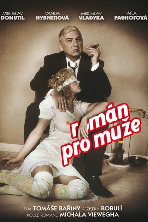 Román pro muže (2010) poster