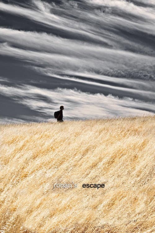 Ronan's Escape (2010) poster