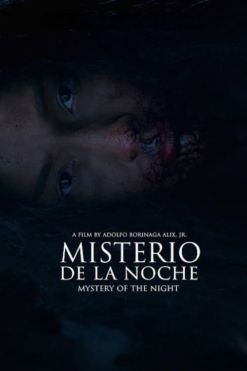 Misterio de la Noche (2019) poster