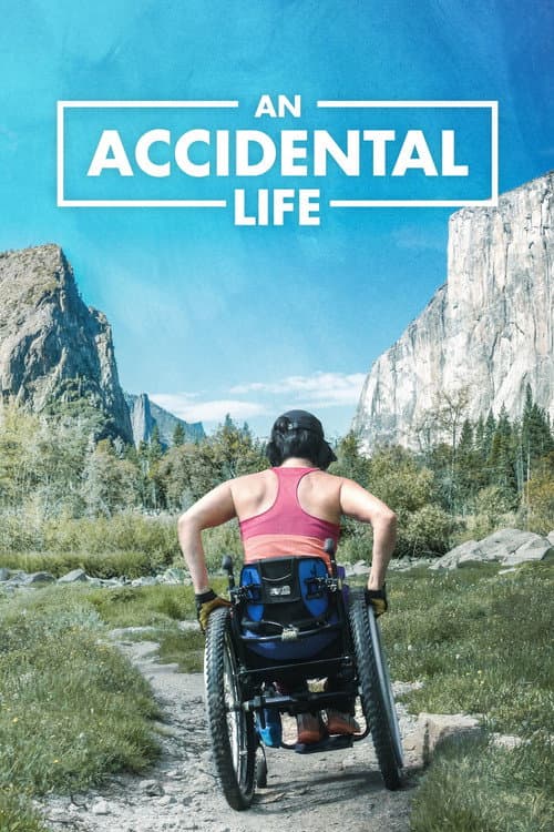 An Accidental Life (2022) poster