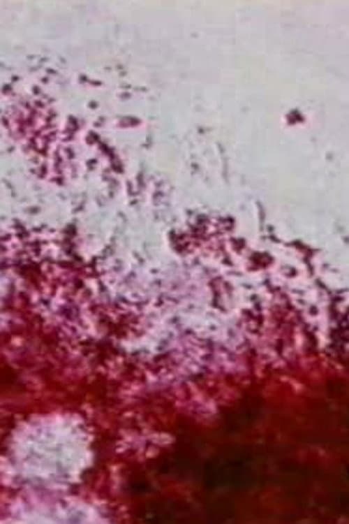 Prelude 1 (1995) poster