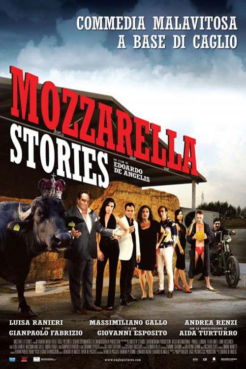 Mozzarella Stories (2011) poster