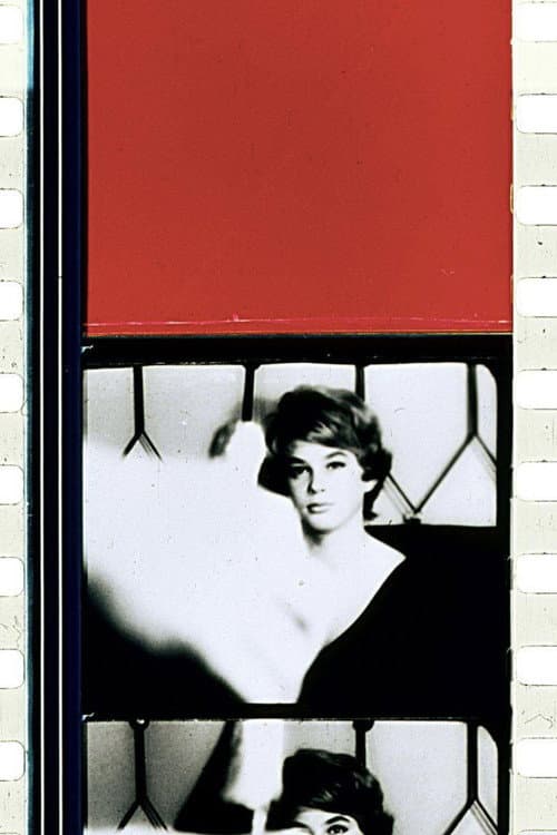 Schwechater (1958) poster