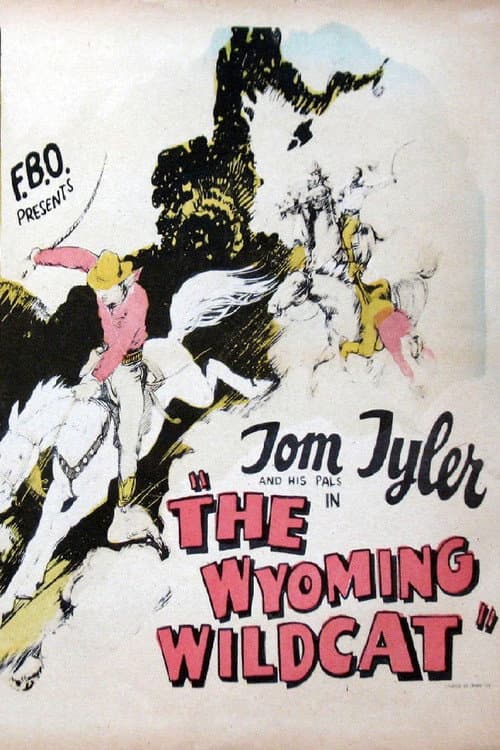 The Wyoming Wildcat (1925) poster