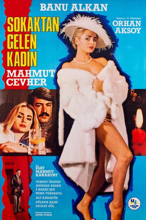 Sokaktan Gelen Kadın (1984) poster