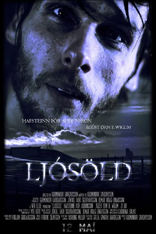 LjósÖld (2016) poster