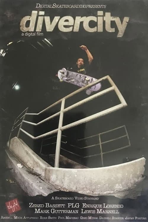 Digital Skateboarding 12: Divercity (2005) poster