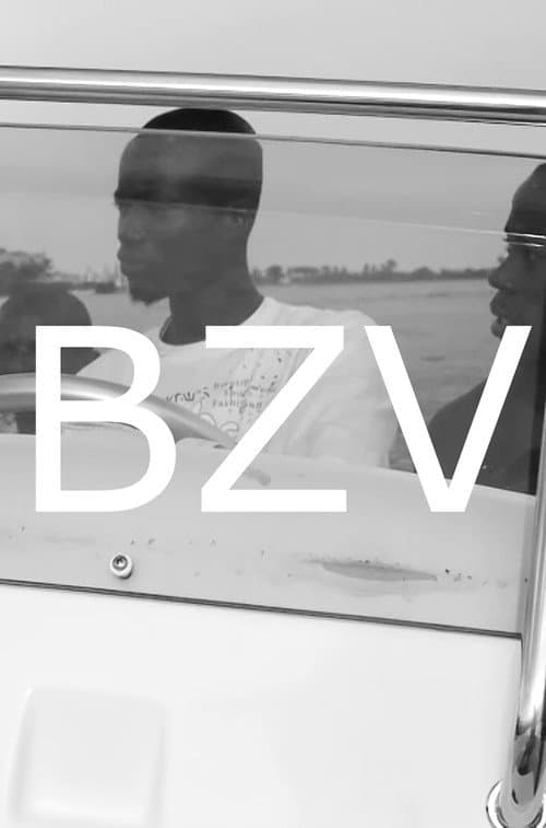 BZV (2010) poster