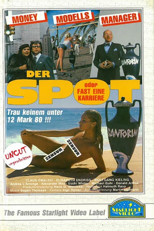 Der Spot oder Fast eine Karriere (1981) poster