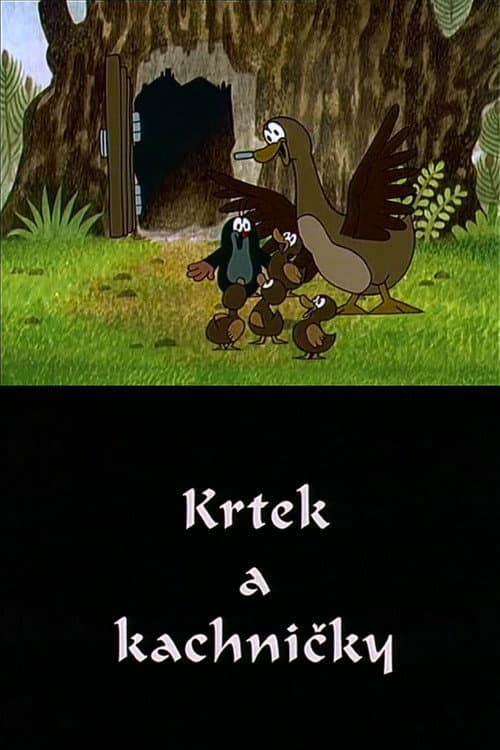 Krtek a kachničky (1995) poster