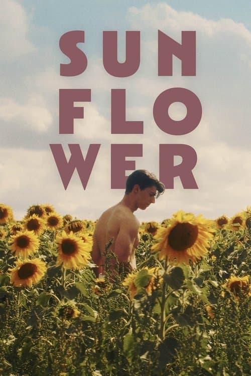 Sunflower (2024) poster