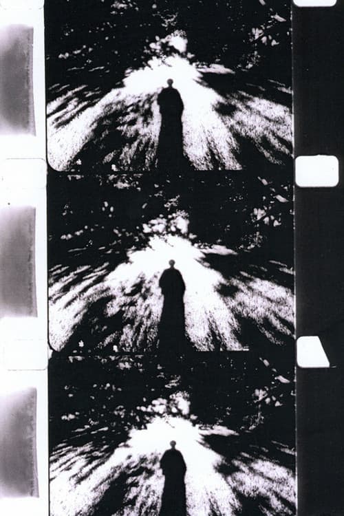 Imaginary Light (1994) poster
