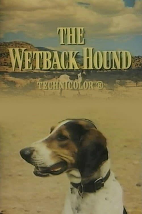 The Wetback Hound (1957) poster