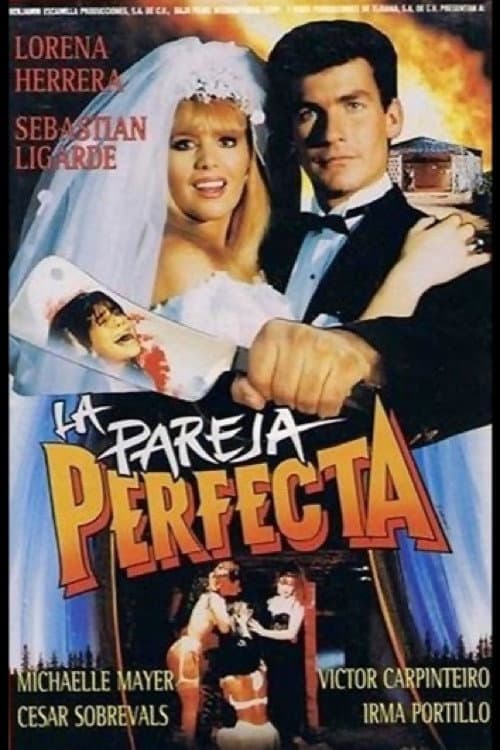 La pareja perfecta (1991) poster
