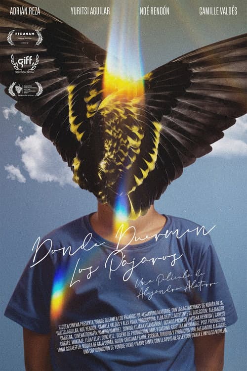 Donde duermen los pájaros (2022) poster