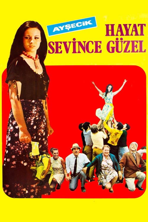 Hayat Sevince Güzel (1971) poster