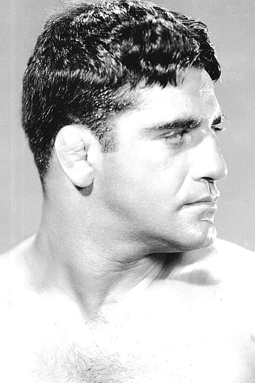 Sammy Stein foto