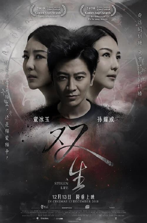 A Stolen Life (2018) poster
