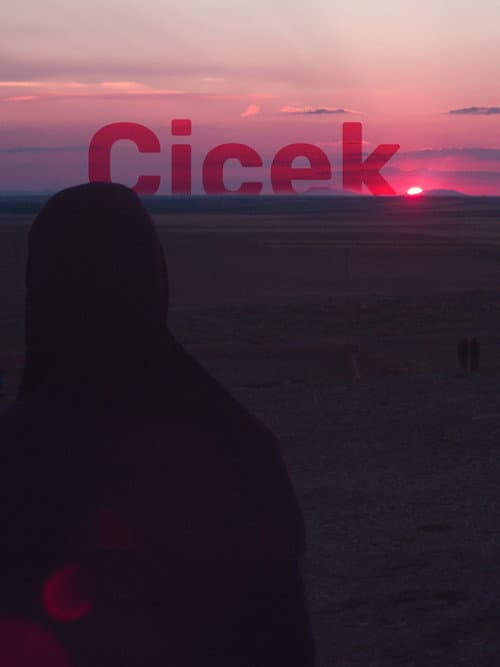 Çiçek (2016) poster