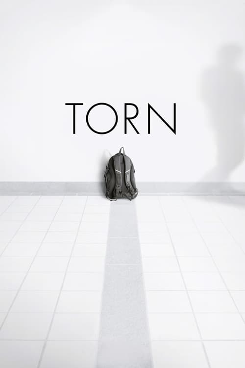 Torn (2013) poster