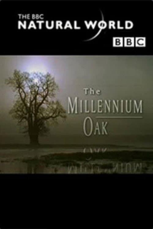 The Millennium Oak (1999) poster