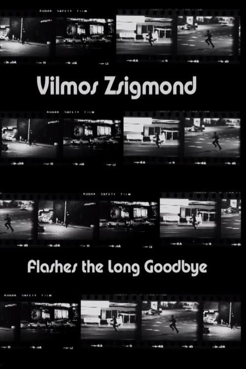 Vilmos Zsigmond Flashes 'The Long Goodbye' (2002) poster
