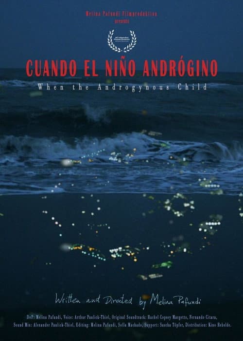 Cuando el niño andrógino (2020) poster