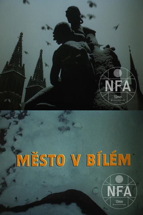 Město v bílém (1972) poster