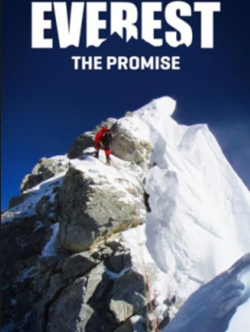 Everest the Promise (2011) poster