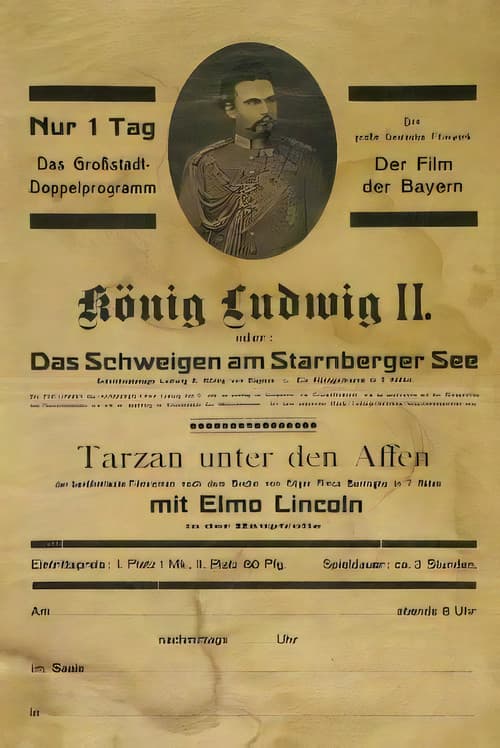Das Schweigen am Starnbergersee (1920) poster