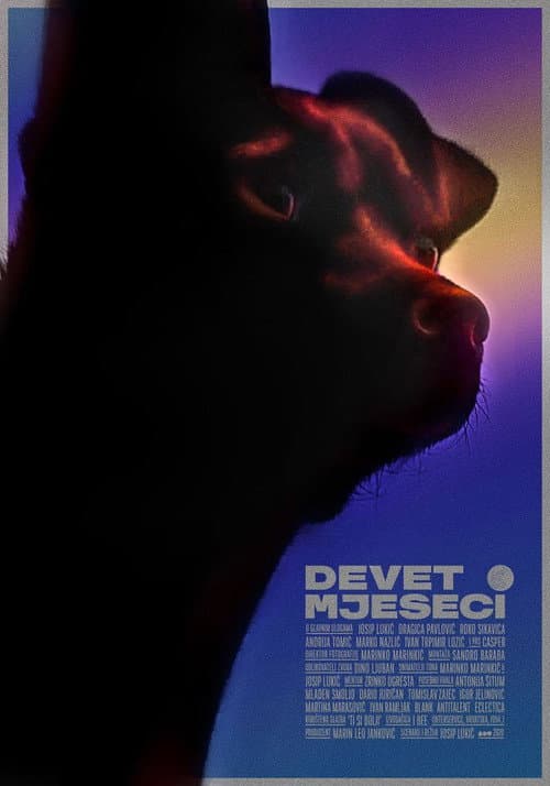 Devet mjeseci (2020) poster