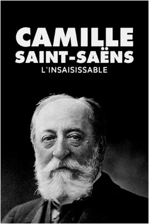 Saint-Saëns, l'insaisissable (2021) poster