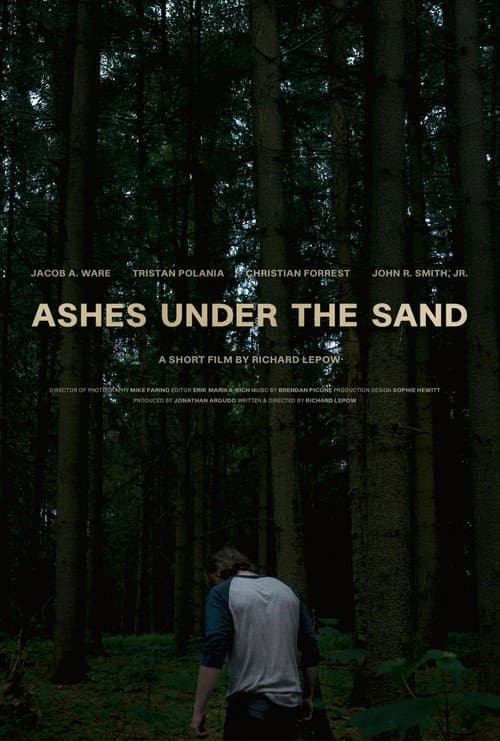 Ashes Under the Sand (2025) poster