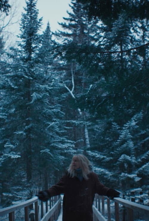 Au gré du vent (2017) poster