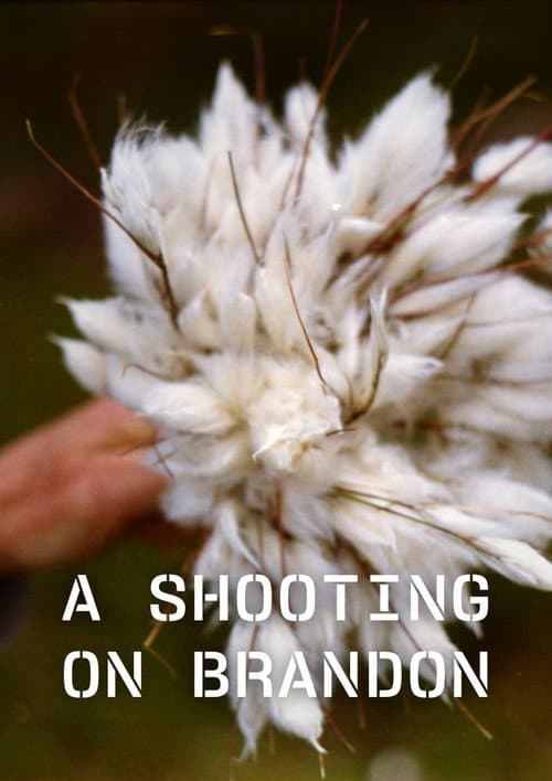 A Shooting on Brandon (2025) poster