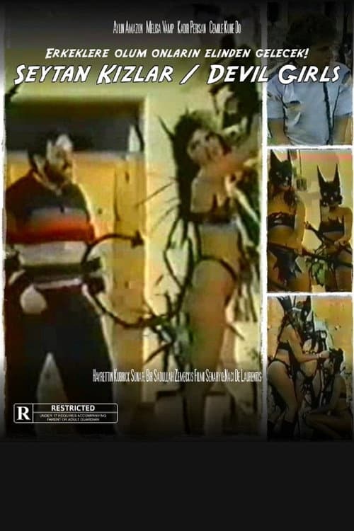 Şeytan Kızlar (1987) poster