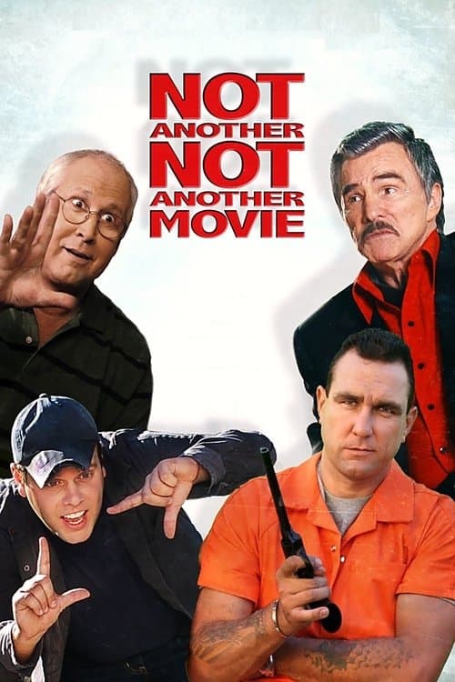 Not Another Not Another Movie (2011) poster