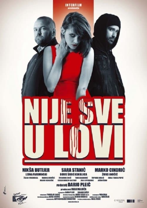 Nije sve u lovi (2013) poster