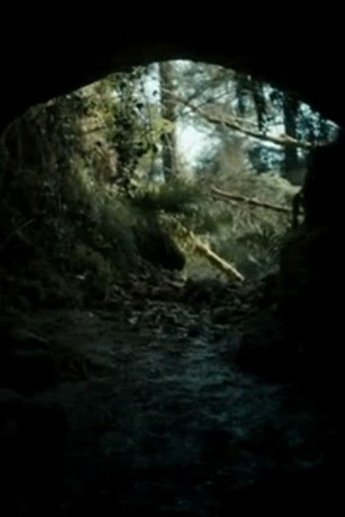 The Beast (2013) poster