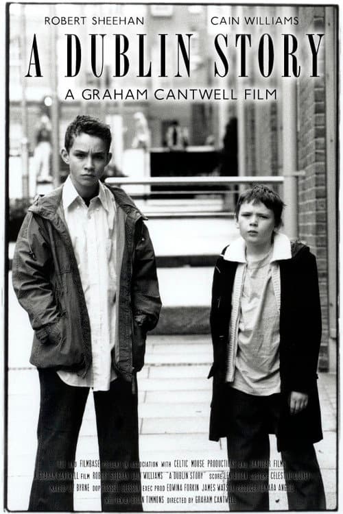A Dublin Story (2003) poster