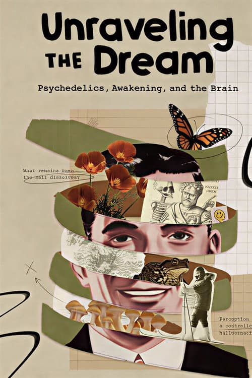 Unraveling the Dream (2026) poster