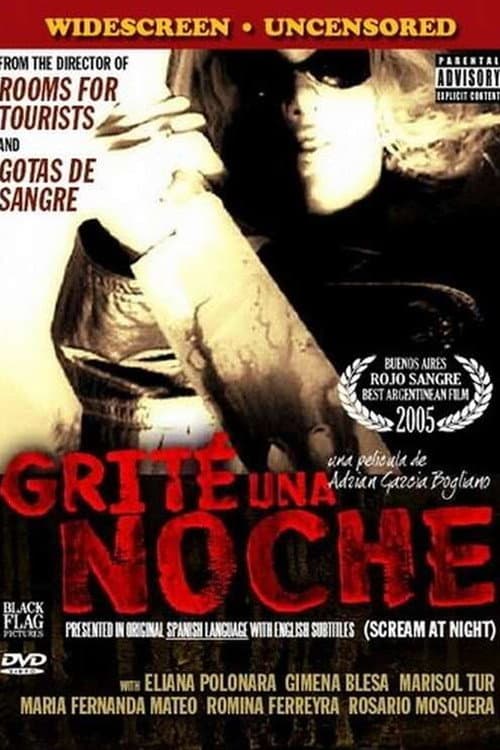 Grité una noche (2005) poster