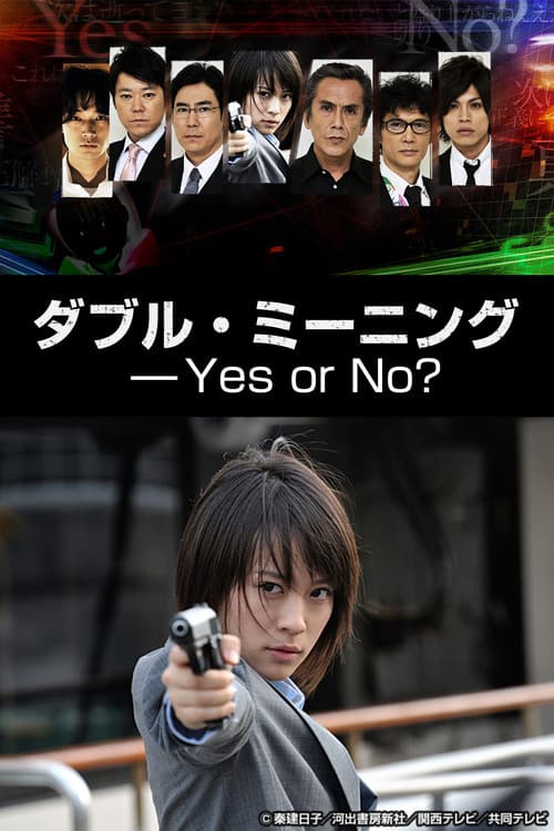 ダブル・ミーニング〜Yes or No? (2013) poster