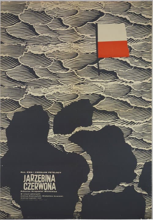 Jarzębina czerwona (1970) poster