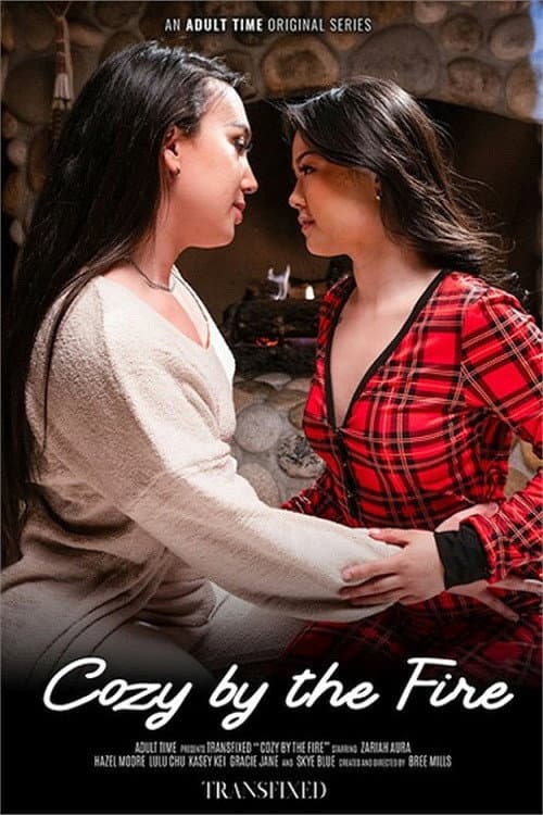Cozy by the Fire (2025) poster