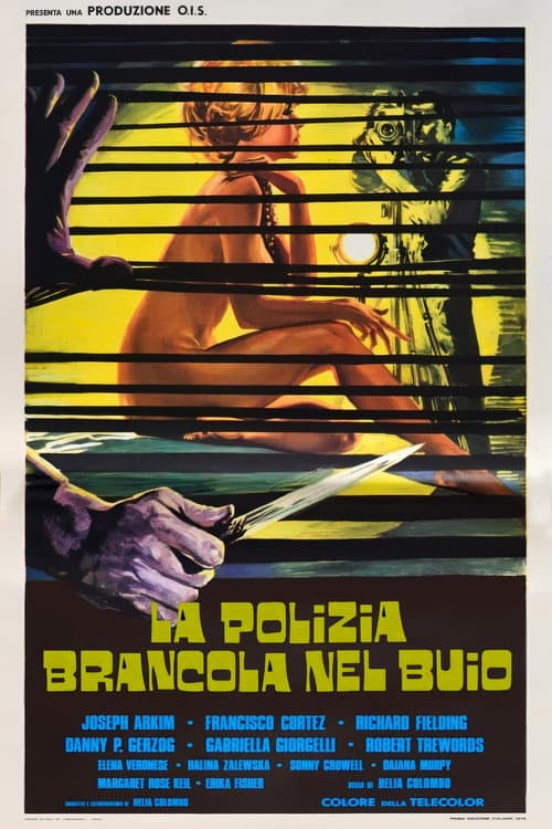La polizia brancola nel buio (1975) poster