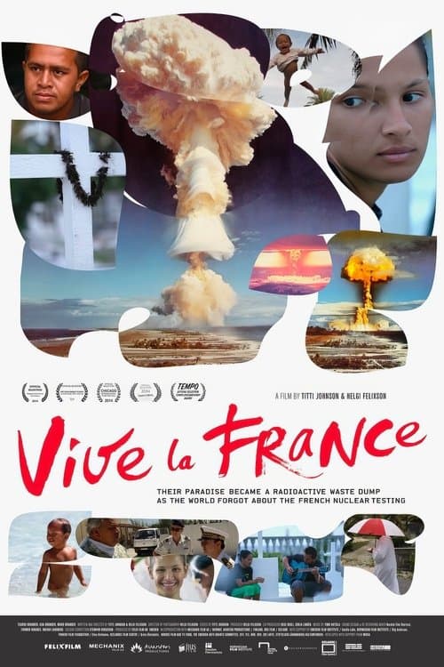 Vive La France (2014) poster
