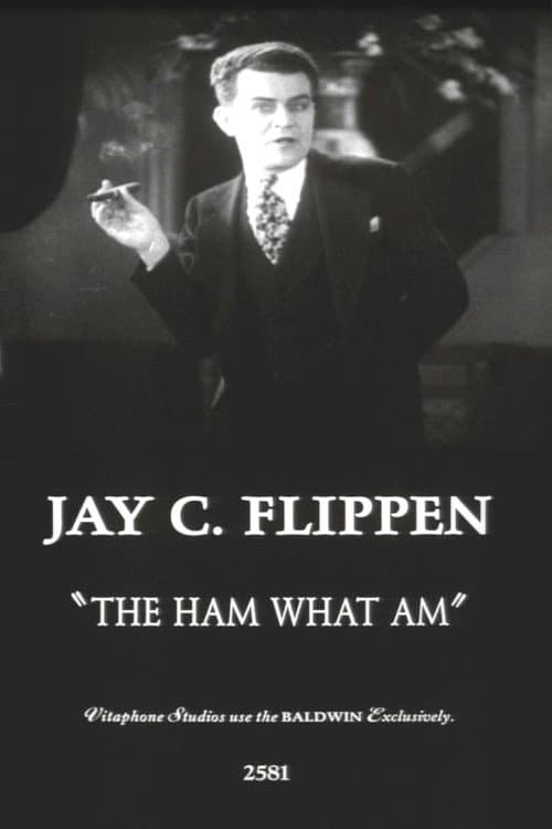 The Ham What Am (1928) poster