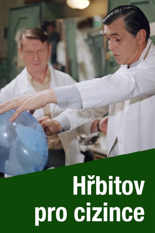 Hřbitov pro cizince (1991) poster
